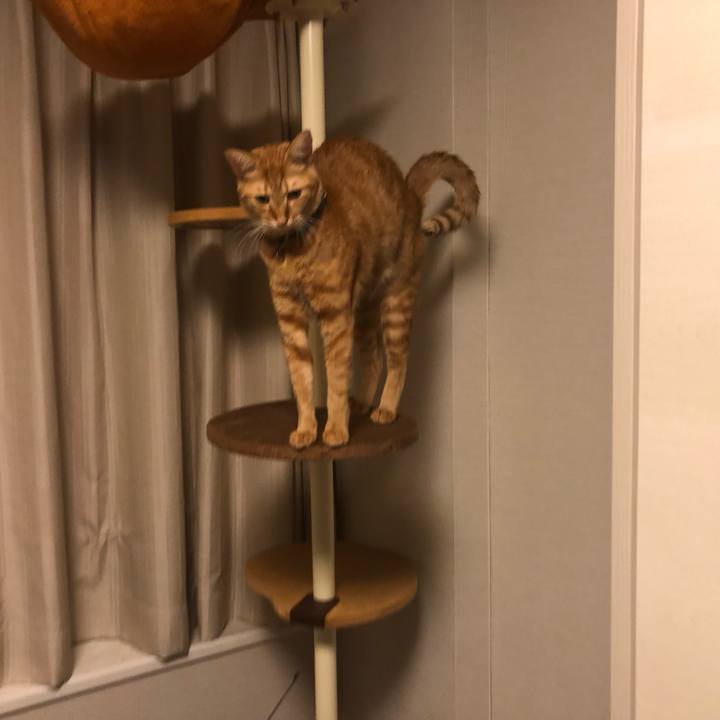 0e602528 5e11 4761 8449 c30be6307b69 1638304069007