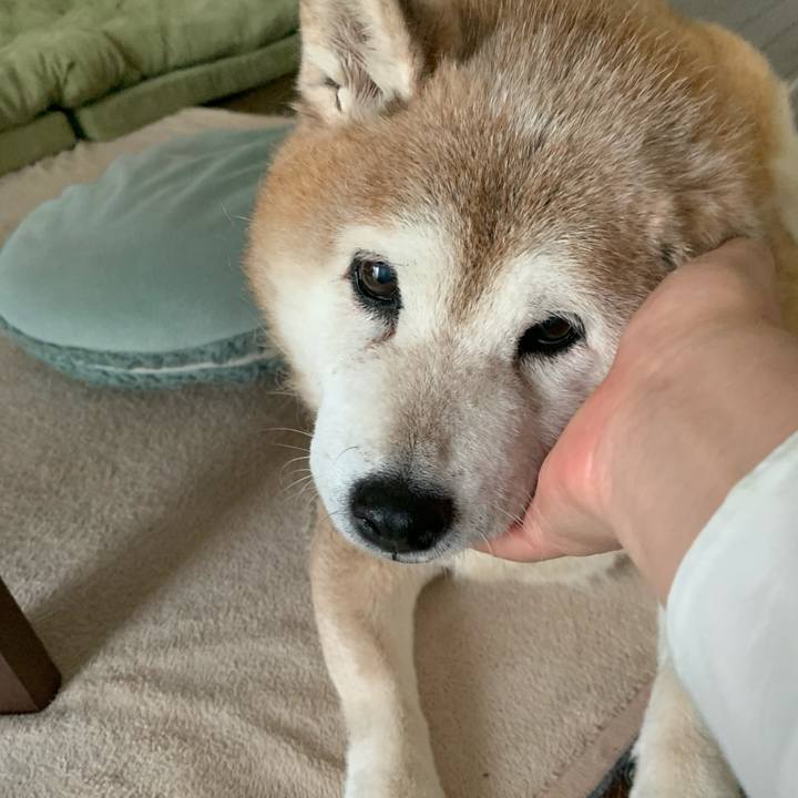 0e602847 0ea2 4dcf 8eb3 0916982c51bc 1622086482630