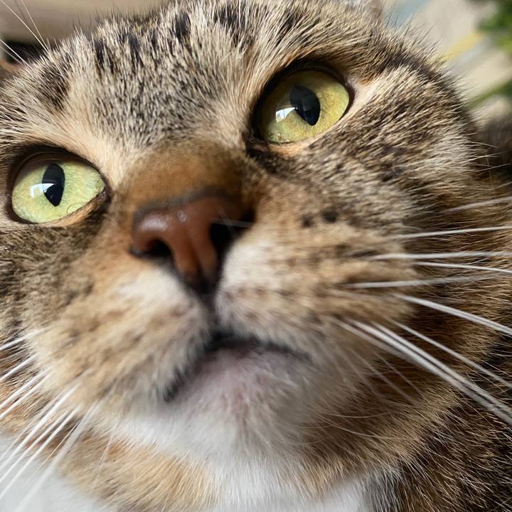 0e6030b1 29f4 4237 aeec 0a561afaed2d 1587355383902