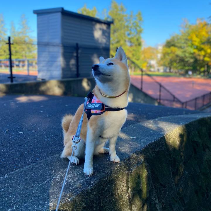 0e603ea8 ac52 4b3d 85f3 63a6c0c554ef 1698198499795