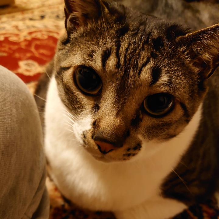 0e60422f 1478 4950 9372 fec05cc6703a 1584624538932