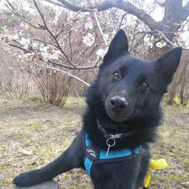 0e604571 4f83 433a 956d 1f259083154e 1648425497186