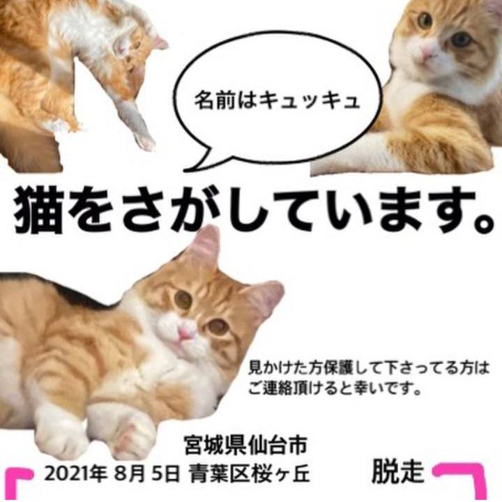 0e60467a 8a15 4415 bc49 bdf8af63d944 1628922931425