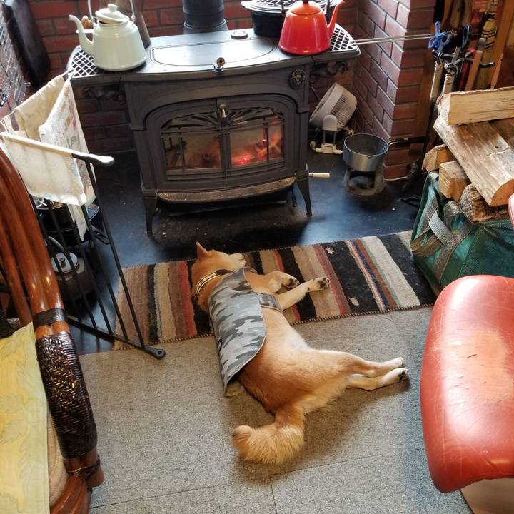 0e605efe 7834 4827 a59e 1dbcdec9a761 1613946328813