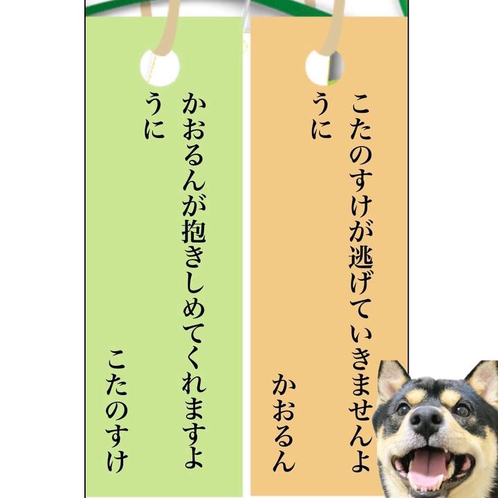 0e60941b b526 45ff 864f edd79be1a744 1720428914068