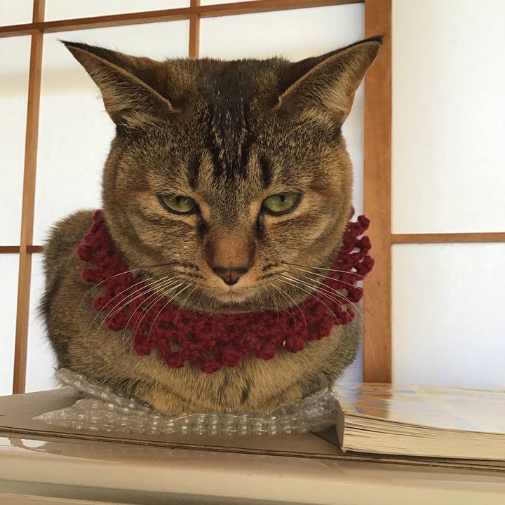 0e609e55 fc4f 473f aae3 8eae824feaa3 1614217747878