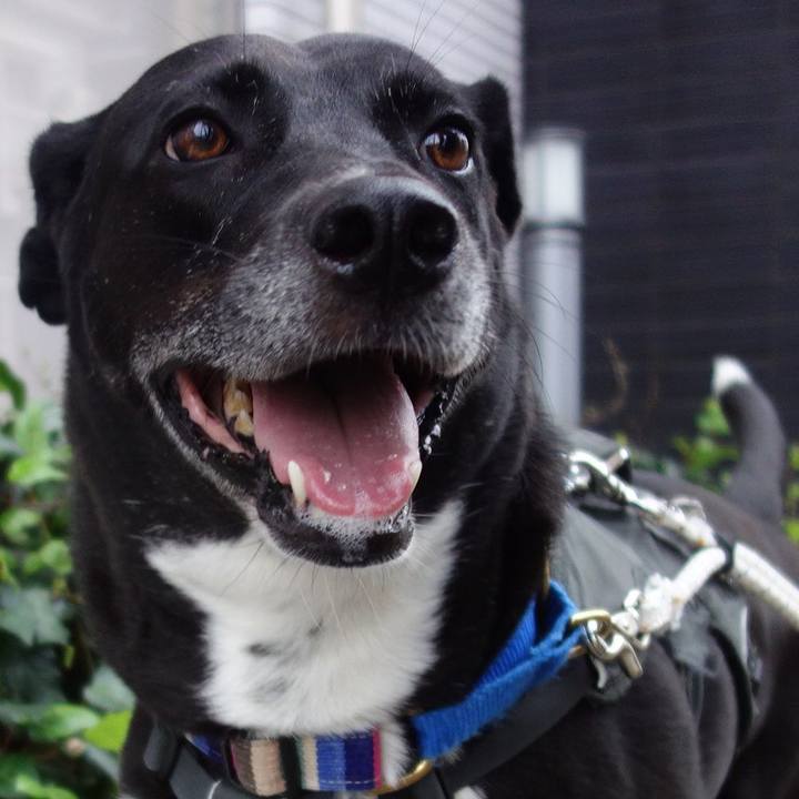 0e60c4c5 eec5 4962 8200 cbf1c3fa6c50 1664758513786