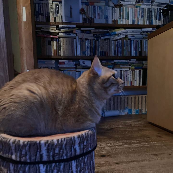 0e60d3d1 3b62 4fe4 9443 bd3643cd2f2d 1738189028533