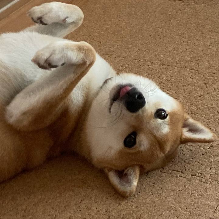 0e60ddfe 06cb 465a 8335 c65752020613 1659060396490