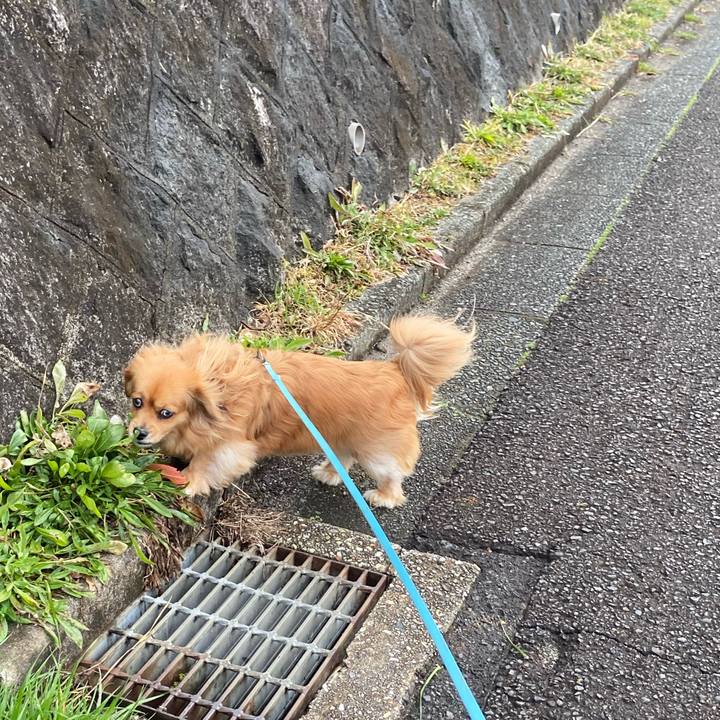 0e60e1b7 af09 427a a826 38a06d90ec5c 1582410943553