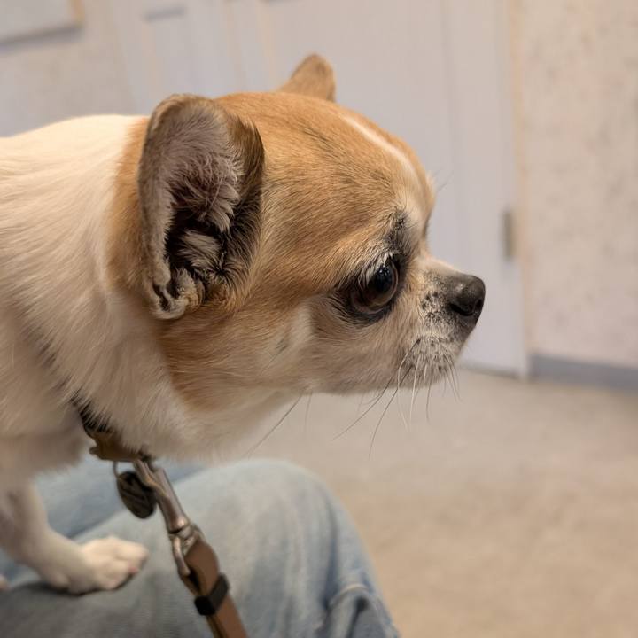 0e6106be 5d23 44b0 9b42 6935a6218d80 1775129115455