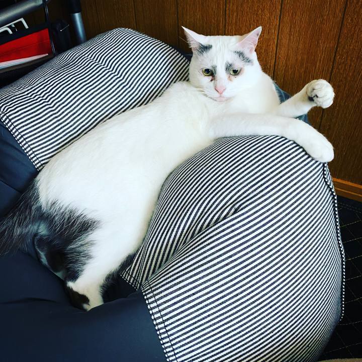 0e611db3 f45f 41e9 87ff 6e6c46bead47 1617467690509