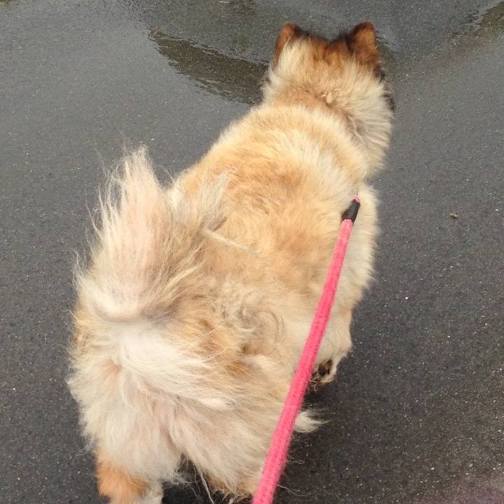 0e611f97 9661 4829 b846 770a7eb6f63b 1608728833075