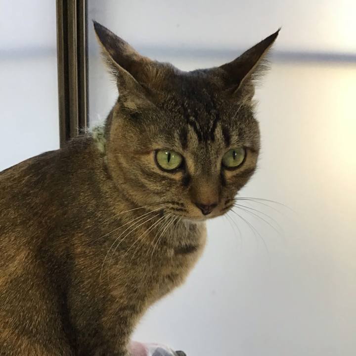 0e61584a 1769 4a79 8882 93ae28434848 1643877405296