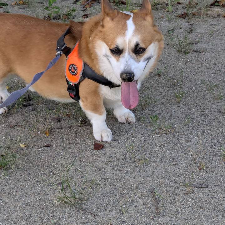 0e615c32 13f0 4f6c 8546 c9f5253cc0a3 1722313754621