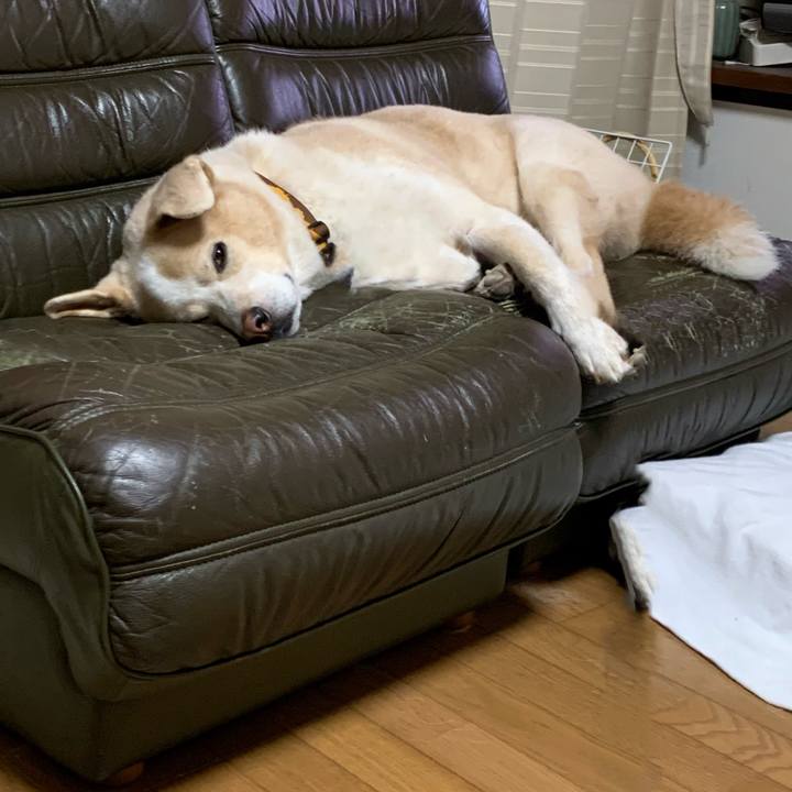 0e61c3cf c391 4222 a373 2912c1c932ac 1601647828813