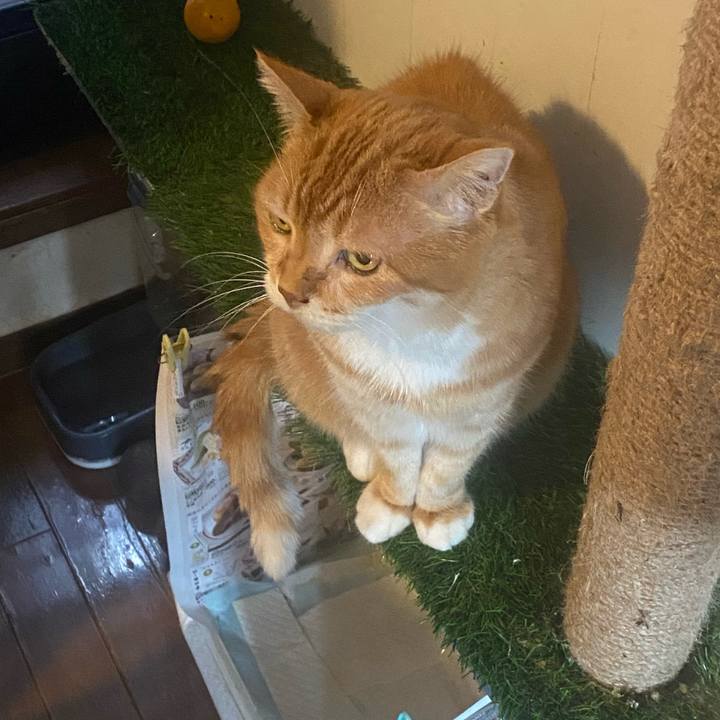 0e61ddad 34a6 4ded b421 2906f35b76ab 1745131139624