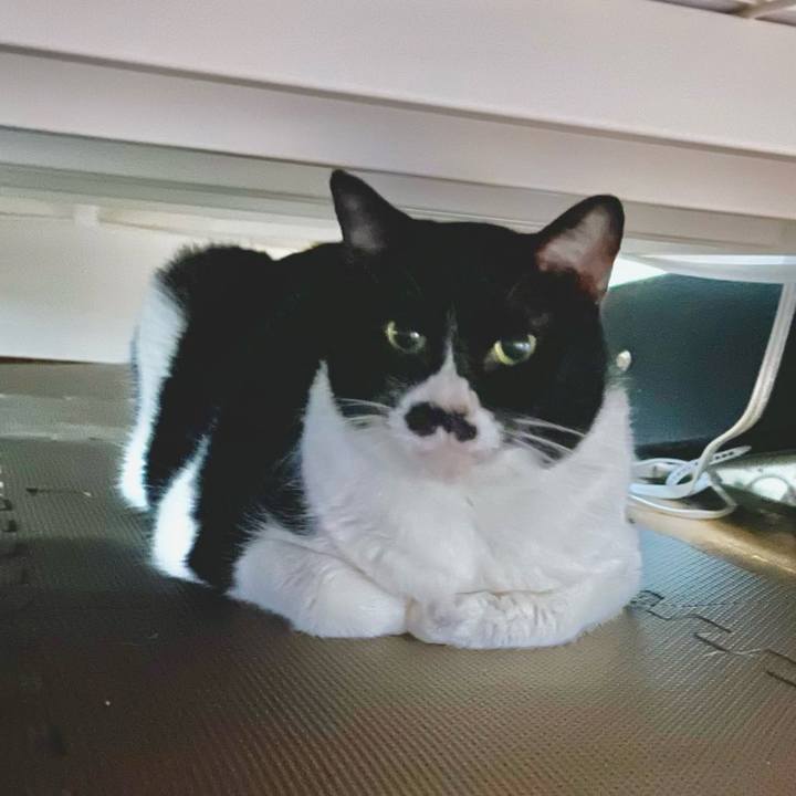 0e61df40 f928 4aa8 af8a e533bf10038b 1709683981723