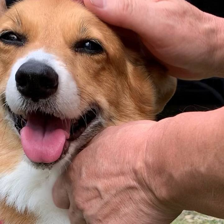 0e6207ba d84e 4e7e a3d4 8d8411df027d 1661474557085