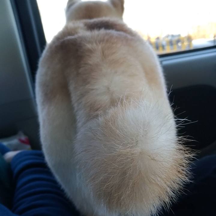 0e6224a4 17c9 462e be3f 768d64b756e8 1552128238706