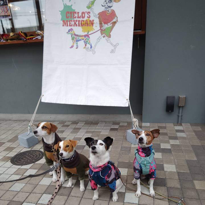 0e6242c4 39ca 4696 b266 c4b4c8cdb3f6 1737296694348