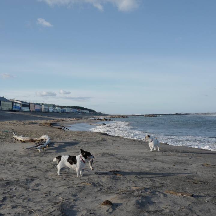 0e624e71 2455 4ad5 962d b5996da72796 1573962666025