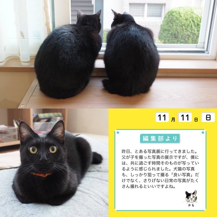 0e625c45 3f69 4252 baaa 9f679007d01d 1541901974855