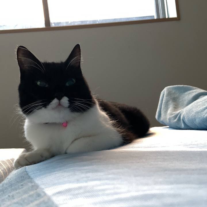 0e625d52 134a 49fb 9fbf d2e4dd60a2c3 1599438016817