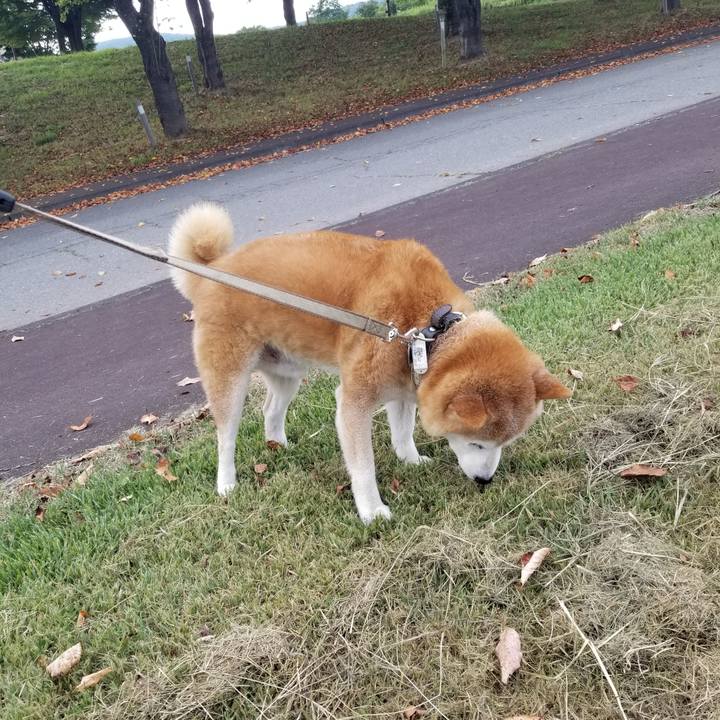 0e627bfa 33b7 4dd3 ae19 c63fddb268c6 1694674679525