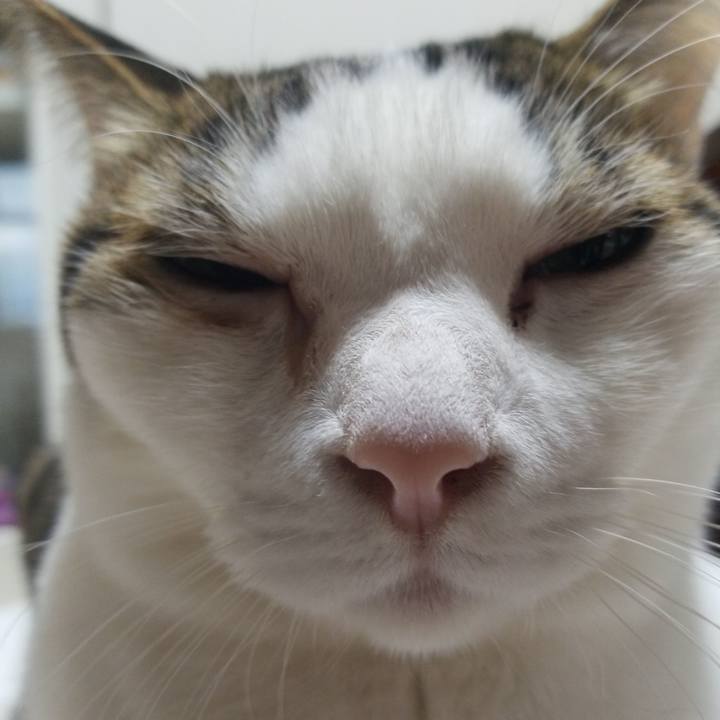 0e628047 6ae7 4fd3 b5c1 3c1ff210b780 1579904347627