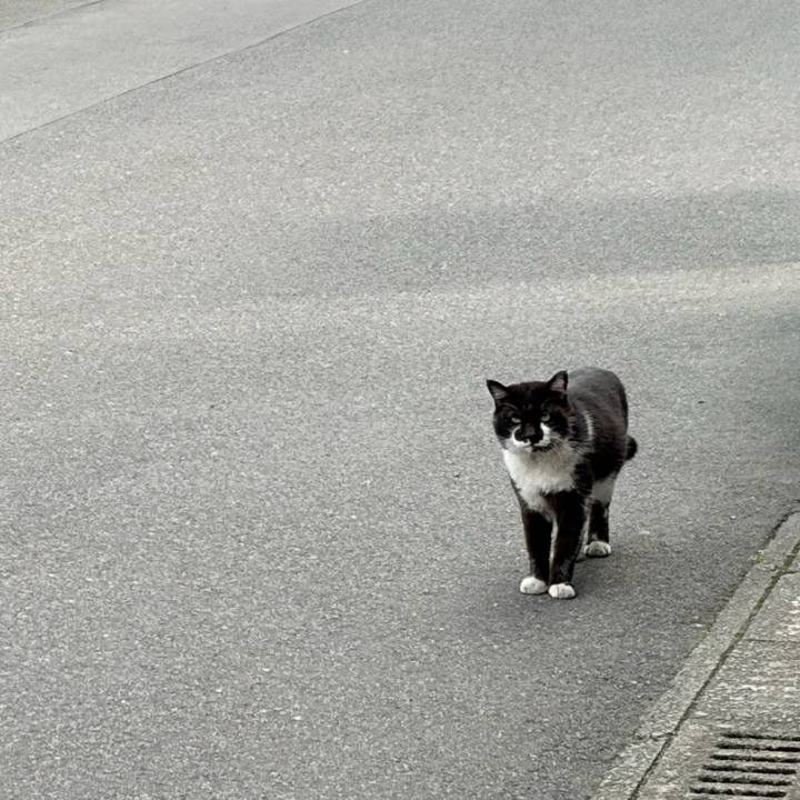 0e62b4d1 90a3 43bd aa56 bbe60710d274 1775282649696