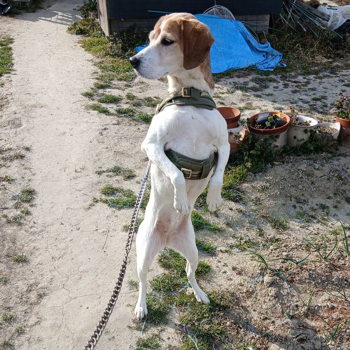 0e62c385 3a2f 4ff5 8973 b43205d74111 1769686567966