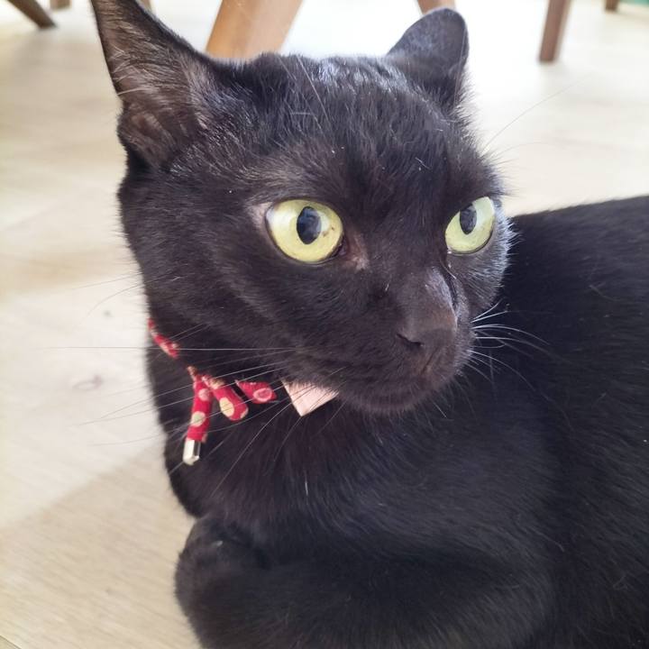 0e62ca72 5d61 4ff5 b55a 319f2343c423 1687126580424