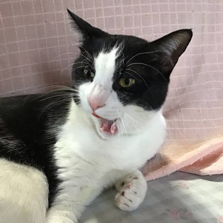 0e62cb7d 5d12 41d0 b9b3 6a7beaf5b3e0 1710406801254