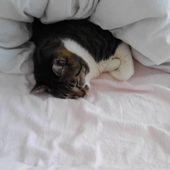 0e62d424 a59d 4fb5 94dd ec2e66a300fb 1678543103462