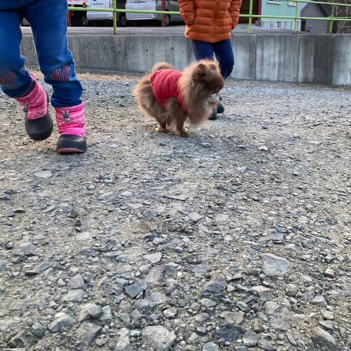 0e63193f dfc2 4aec acb5 b392e0a1f49b 1709164818151