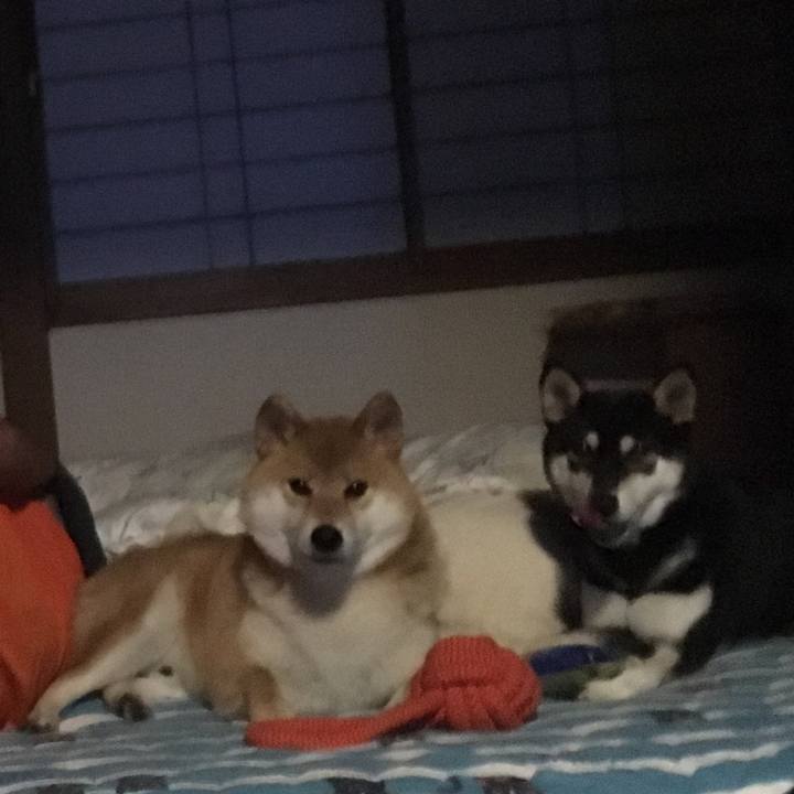 0e6322b2 2405 457f b79f 33e4aafb2457 1535588657574