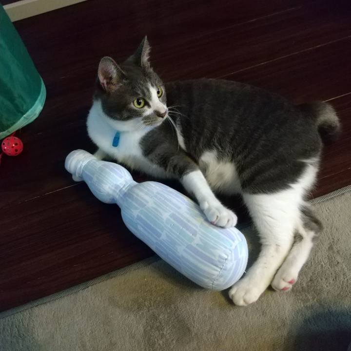 0e635c5c b00a 4718 870b 1894232f9ec7 1600039903676