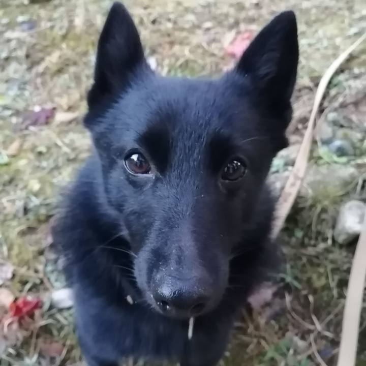 0e6371d3 85de 4cf1 8035 15f230c70c82 1607639097675