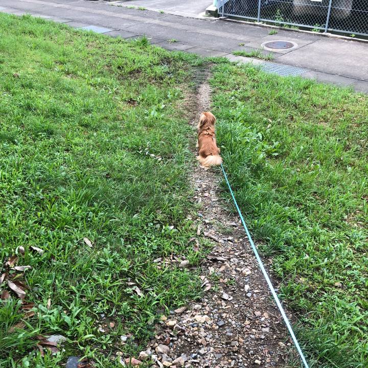 0e639c3a 57f2 4612 8f0d fcf78762b2c2 1537140918656