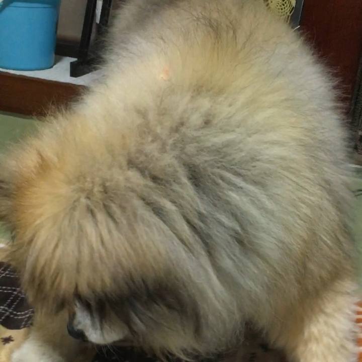 0e646186 91dd 4e00 8a73 ac26d645ba93 1600637598463