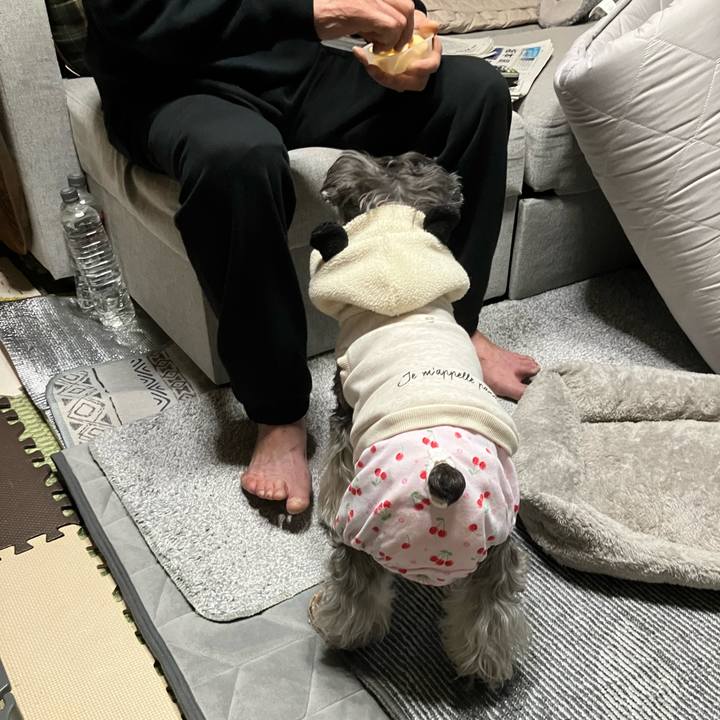 0e646cb4 79e5 4b63 9544 2bbf02bcb4d6 1771855121249