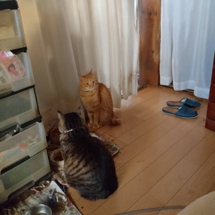 0e646e6f 1661 45de acab 96b097b12eca 1718834905978