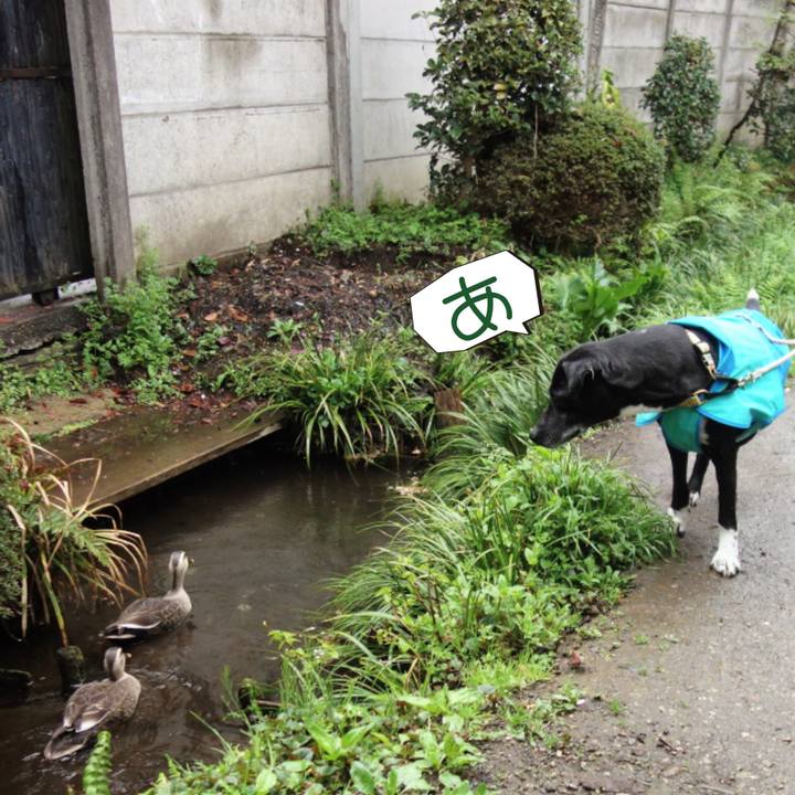 0e64960a ef9b 4f18 b141 6faa340ee40a 1679965125993