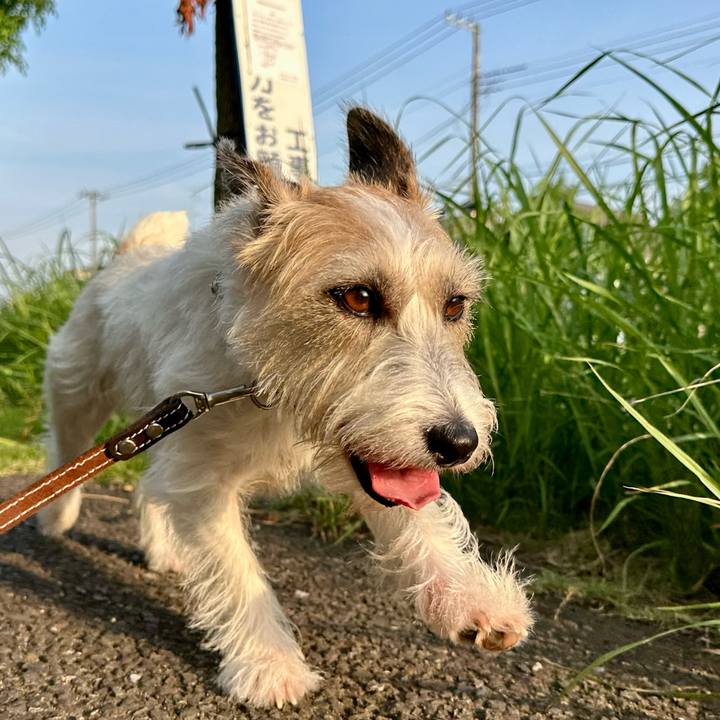 0e64a654 572f 4531 b8cc d3e4afc1bb28 1755922784558