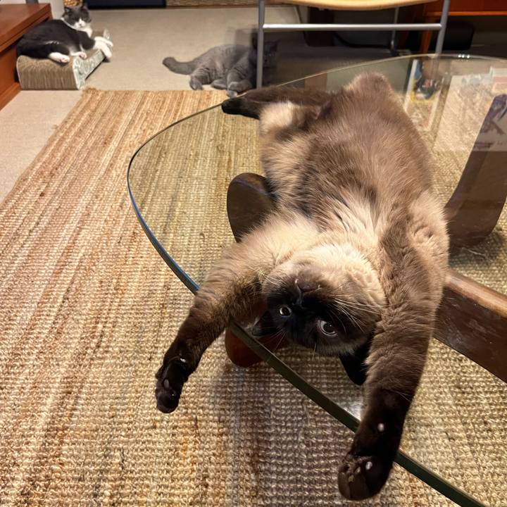 0e64c7ed 7c30 4ac0 9dc7 7f5619e7579a 1753788293565