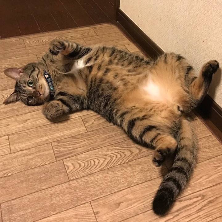 0e64cbc9 ef91 480c 8134 fd52b10278da 1553964844084