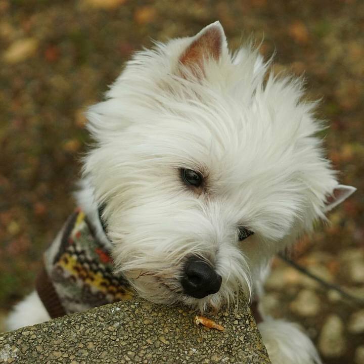 0e64d878 5b1d 4178 be7d 997bc07a0561 1513926411875