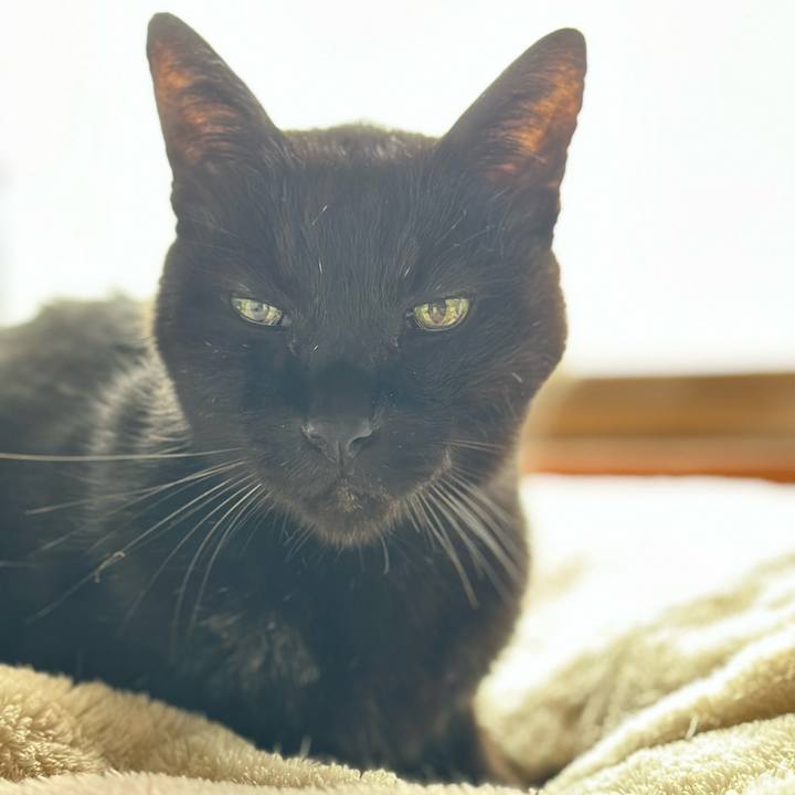 0e64fd04 c6b4 44b3 ba93 3bc86df84609 1712711569407