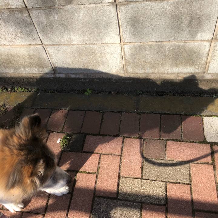 0e6566a3 405d 48d0 a629 034fb9cfbef9 1540167428683